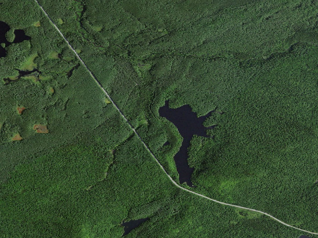 Aerial image of Mtn. Pond Campsite #5 (Debar Mountain Wild Forest)