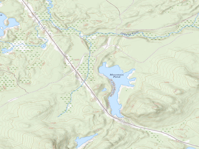 USGS topographic map of Mtn. Pond Campsite #5 (Debar Mountain Wild Forest)