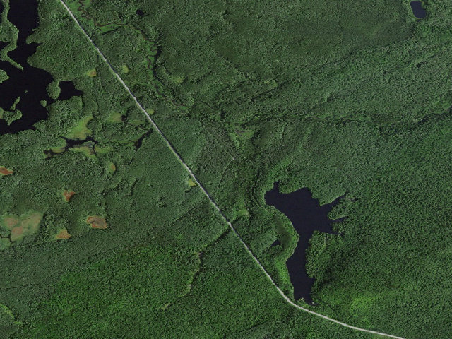 Aerial image of Mtn. Pond Campsite #6 (Debar Mountain Wild Forest)