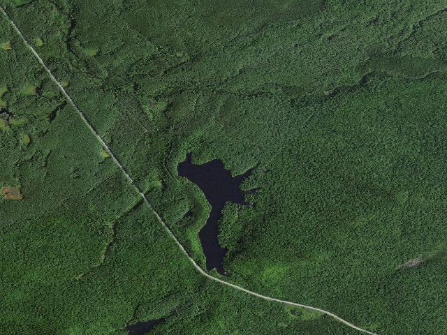 Aerial image of Mtn. Pond Campsite #7 (Debar Mountain Wild Forest)