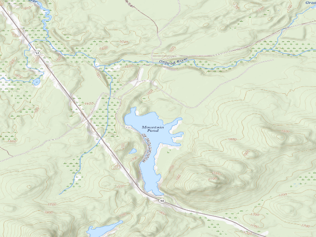 USGS topographic map of Mtn. Pond Campsite #7 (Debar Mountain Wild Forest)