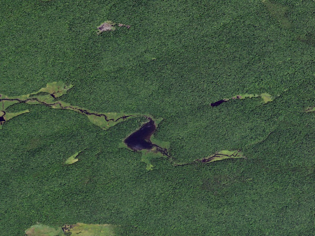 Aerial image of Mud Lake (Ferris Lake Wild Forest)