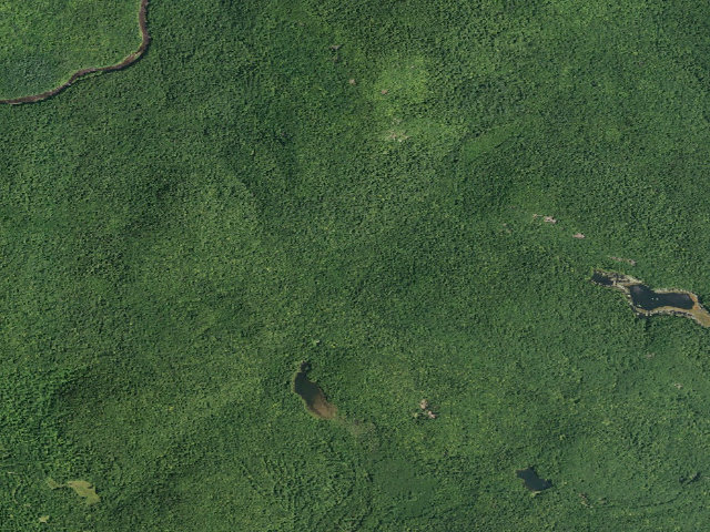 Aerial image of Mud Lake Outlet Tent Site [DEC #22302] (Shaker Mountain Wild Forest)