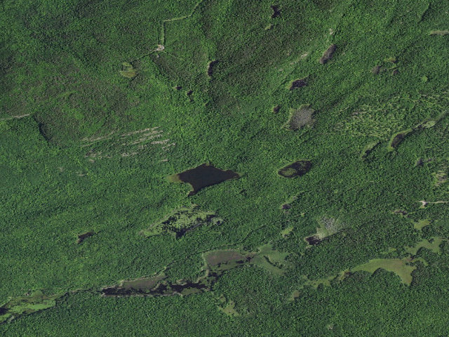 Aerial image of Mud Pond Campsite [DEC #12397] (Terry Mountain State Forest)