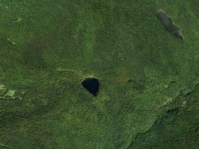 Aerial image of Mud Pond Primitive Campsite [DEC #16467] (Delaware Wild Forest)