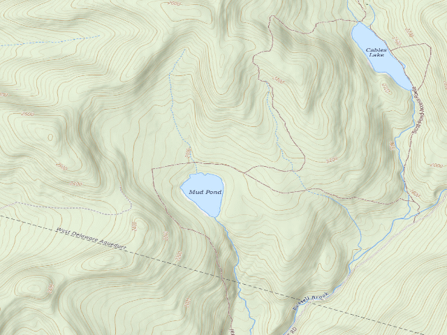 USGS topographic map of Mud Pond Primitive Campsite [DEC #16467] (Delaware Wild Forest)