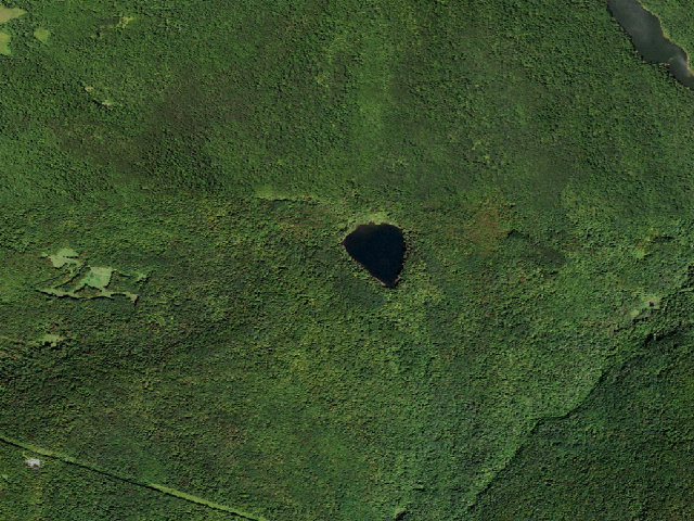 Aerial image of Mud Pond Primitive Campsite [DEC #16469] (Delaware Wild Forest)