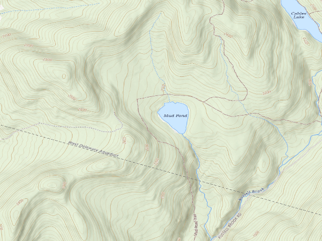 USGS topographic map of Mud Pond Primitive Campsite [DEC #16469] (Delaware Wild Forest)