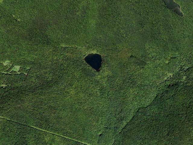 Aerial image of Mud Pond Primitive Campsite [DEC #16470] (Delaware Wild Forest)
