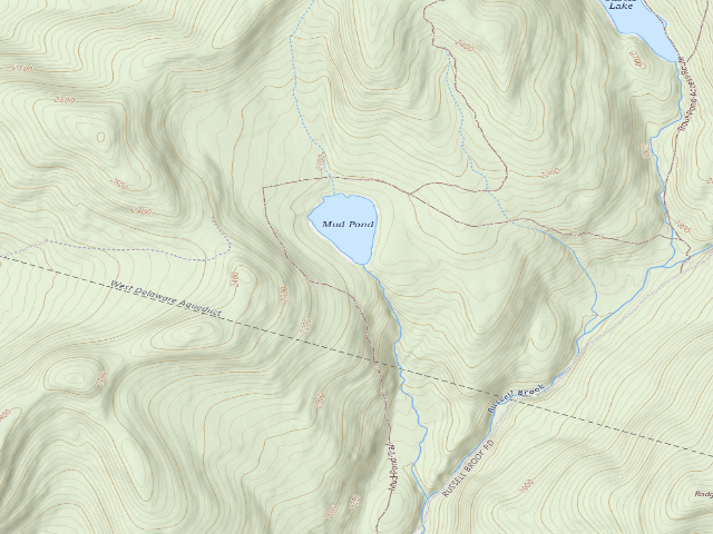 USGS topographic map of Mud Pond Primitive Campsite [DEC #16470] (Delaware Wild Forest)