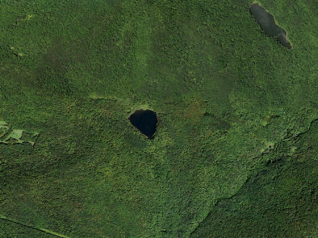 Aerial image of Mud Pond Primitive Campsite [DEC #20967] (Delaware Wild Forest)