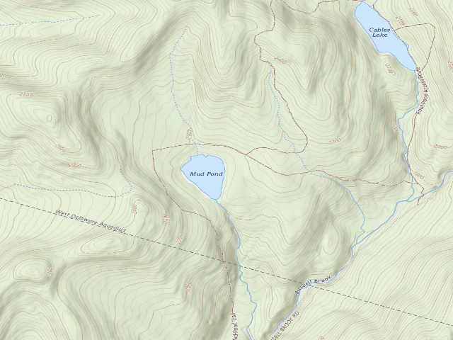 USGS topographic map of Mud Pond Primitive Campsite [DEC #20967] (Delaware Wild Forest)