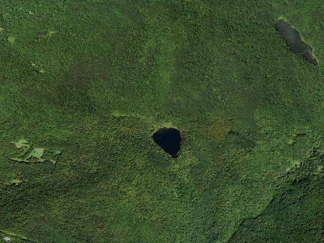 Aerial image of Mud Pond Primitive Campsite [DEC #20971] (Delaware Wild Forest)