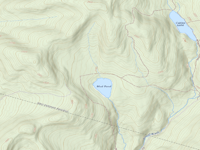 USGS topographic map of Mud Pond Primitive Campsite [DEC #20971] (Delaware Wild Forest)