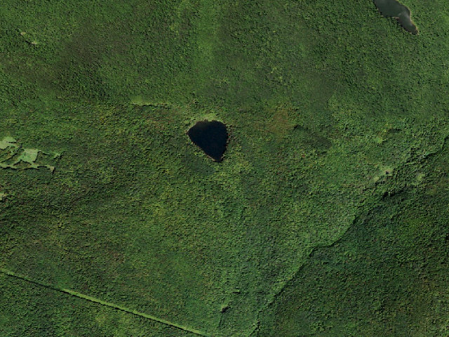 Aerial image of Mud Pond Primitive Campsite [DEC #20977] (Delaware Wild Forest)