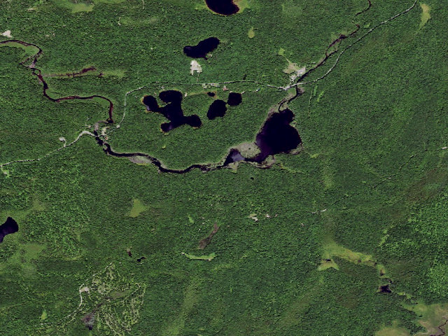 Aerial image of Mud Pond Site 1 (Watsons East Triangle Wild Forest)