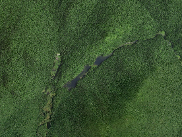Aerial image of Mud Ponds Campsite (Siamese Ponds Wilderness)
