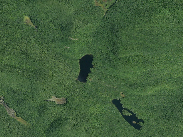 Aerial image of Murphy Lake Tent Site (Wilcox Lake Wild Forest)