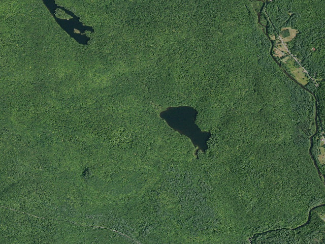 Aerial image of Murphy Lake Trail Campsite (Wilcox Lake Wild Forest)