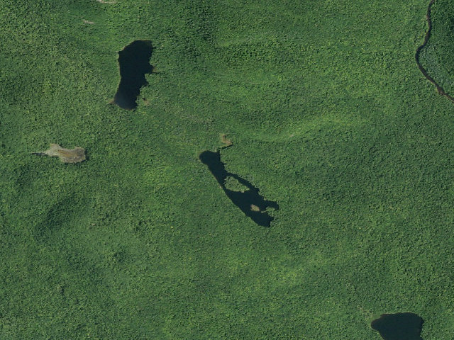 Aerial image of Murphy Lake Trail Campsite (Wilcox Lake Wild Forest)