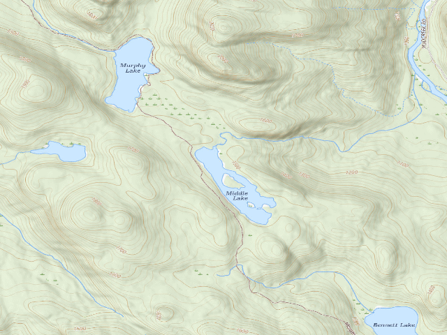 USGS topographic map of Murphy Lake Trail Campsite (Wilcox Lake Wild Forest)
