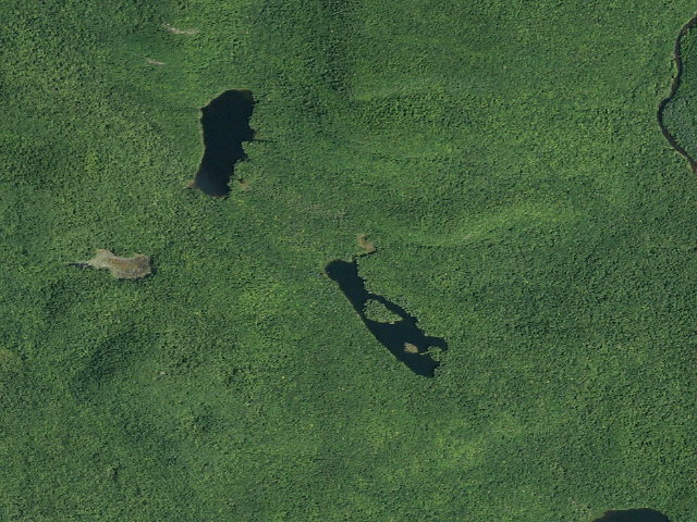 Aerial image of Murphy Lake Trail Campsite (Wilcox Lake Wild Forest)