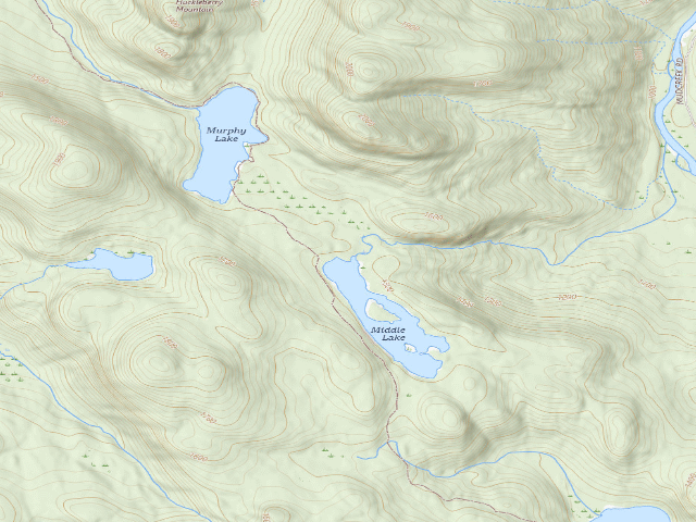 USGS topographic map of Murphy Lake Trail Campsite (Wilcox Lake Wild Forest)