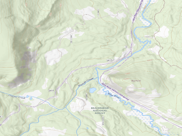 USGS topographic map of Mushroom Tree