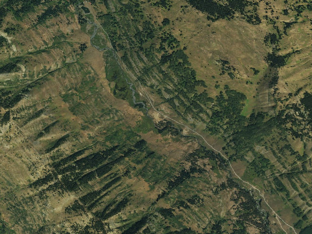 Aerial image of Musicians Camp Designated Camping Area