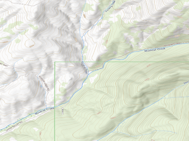 USGS topographic map of Muskrat Trhd Rd441-19