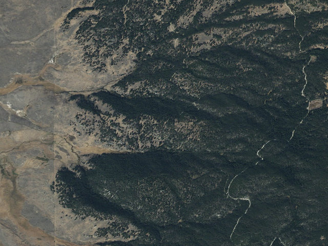 Aerial image of Muttin