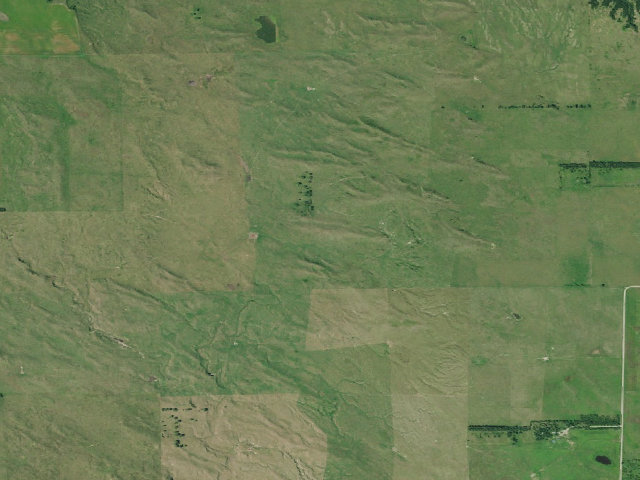 Aerial image of Myrtle E. Hall WMA
