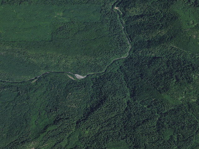 Aerial image of Myrtle Grove