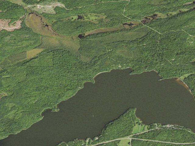 Aerial image of Myrtle Lake Site 10