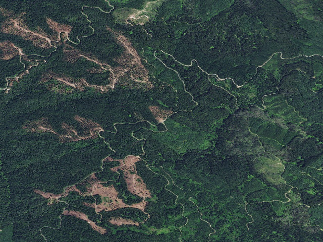 Aerial image of Mystery Saddle Camp
