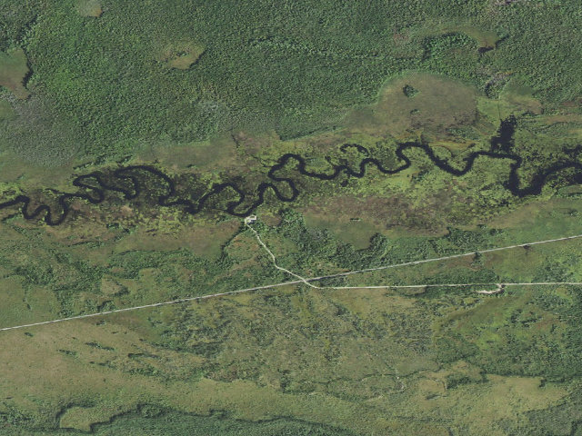 Aerial image of Natalie State Forest Campground