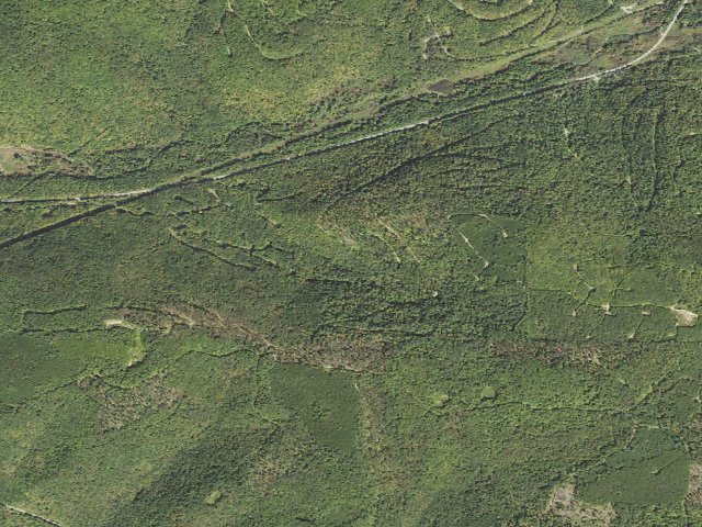 Aerial image of Nct-Chappel Fork Shelter