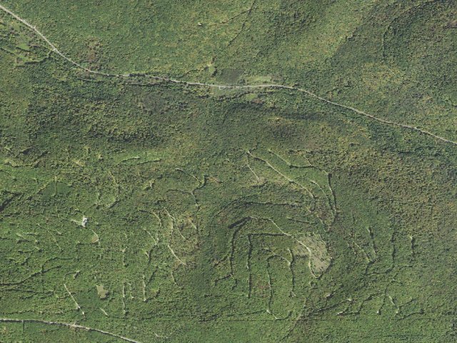 Aerial image of Nct-Hammond Run Shelter
