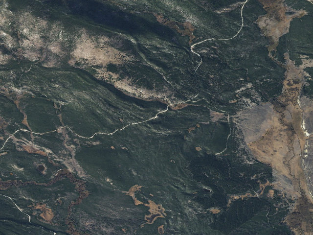 Aerial image of Near Weed Spot