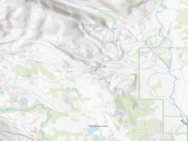 USGS topographic map of Near Weed Spot