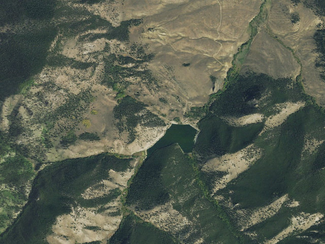 Aerial image of Needle Creek Reservoir Camping Area