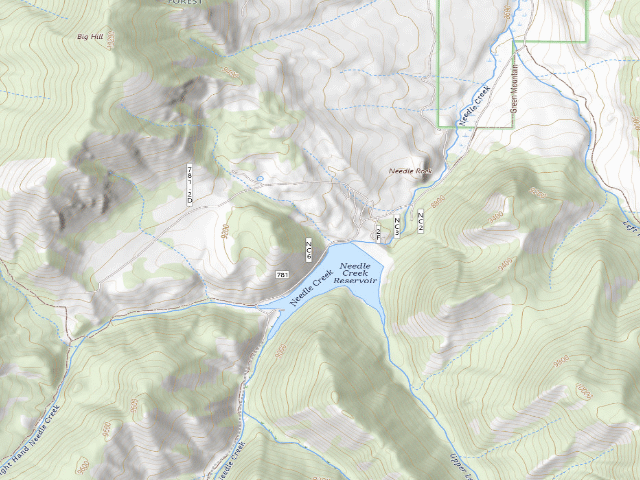 USGS topographic map of Needle Creek Reservoir Camping Area