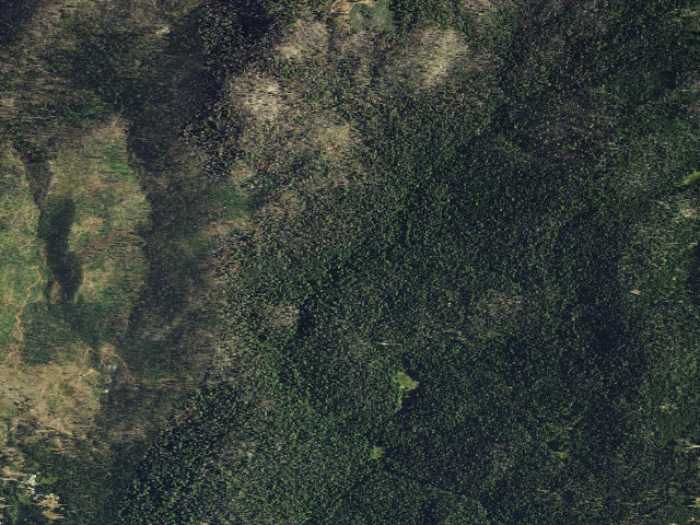 Aerial image of Nelder Grove