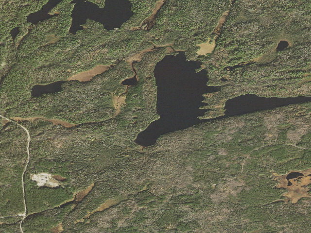 Aerial image of Nels Lake Site 1