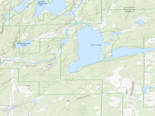 USGS topographic map of Nels Lake Site 1