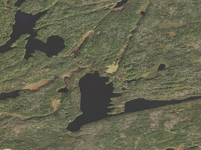 Aerial image of Nels Lake Site 2