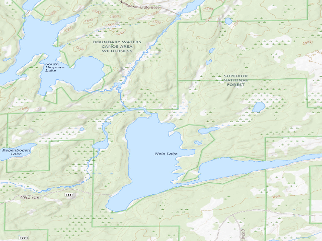 USGS topographic map of Nels Lake Site 2