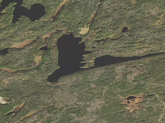 Aerial image of Nels Lake Site 3