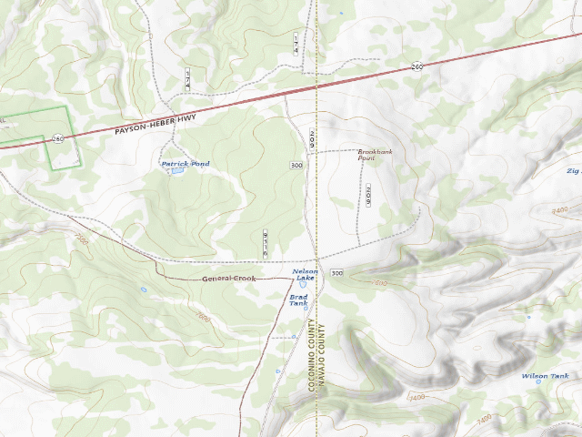 USGS topographic map of Nelson Lake