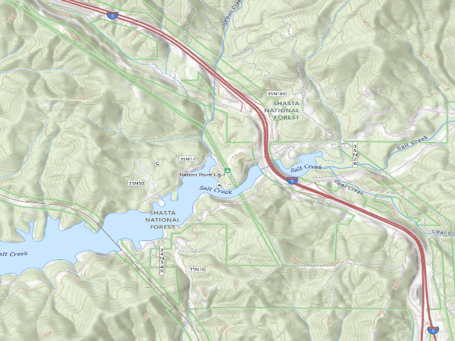 USGS topographic map of Nelson Point Cg-F